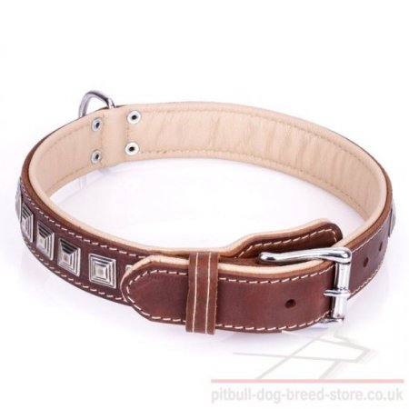 Dog Collar for American Staffy and Pitbull "Pyramid" Brown Color
