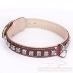 Thick Leather Dog Collar for Pitbull "Cube" Brown