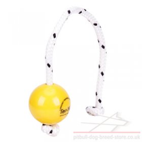 Top-Matic Fun Ball SOFT for Small Staffy Training