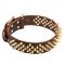 Startling Spiked Leather Dog Collar for Walks in Style