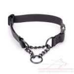 Biothane Martingale Dog Collar with Quick-Detach Buckle