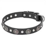 Great Vintage Dog Collar with Round Engraved Studs