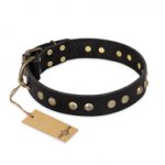 "Black Elegance" FDT Artisan Studded Dog Collar of 1.5" Width