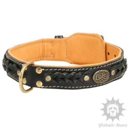 Bestseller! Thick Leather Dog Collar for Pitbull of Royal Design