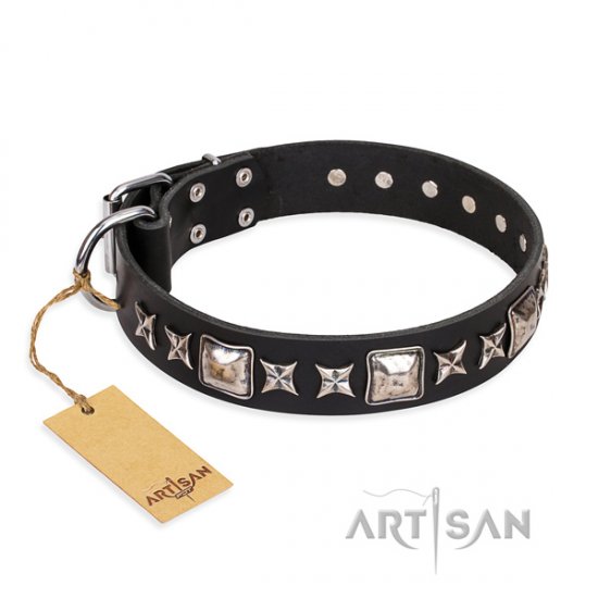 "Space Walk" FDT Artisan Black Studded Collar for Dogs