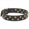 Designer Dog Collar "Majestic Pyramids" for Amstaff, Pitbull