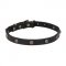 Fashionable Dog Collar for Pitbull & Staffordshire