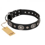 "Black Tie" FDT Artisan Black Leather Dog Collar, Engraved Studs