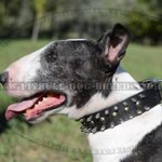 NEW Luxury Dog Collars for English Bull Terrier