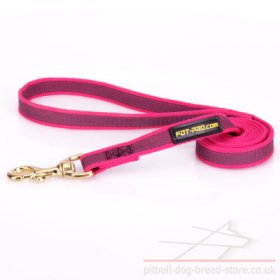 Pitbull Dog Lead of Pink Nylon with Non-Slip Rubber Threads