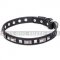 American Staffy Dog Collar "Supreme Elegance" Artisan