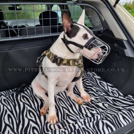 Practical Basket Bull Terrier Muzzle