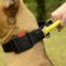 Staffy Nylon Dog Collar UK