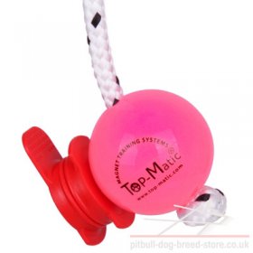 Soft Plastic Dog Ball Top-Matic with MAXI Power-Clip for Staffy
