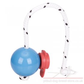 Top-Matic Magnet Trainingsball with MAXI Power-Clip for Staffy