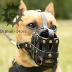 Bestseller! Staffordshire Bull Terrier Muzzle of Leather