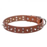 Designer Dog Collar with Stars & Spikes, 1 1/4" Width