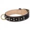 Royal Dog Collar for Walks in Style with Noble Pitbull