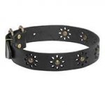 Leather Dog Collar Flowers, Cute Spring Style for Amstaff