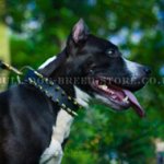 Amstaff Collar with 2 Spike Rows - Cool War Design