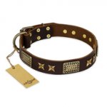 "Sparkling Bronze" FDT Artisan 1.5 inch Leather Dog Collar