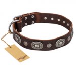 "Extra Pizzazz" FDT Artisan Brown Leather Dog Collar with Studs