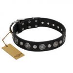 Staffy Leather Dog Collar "Vintage Elegance" Artisan
