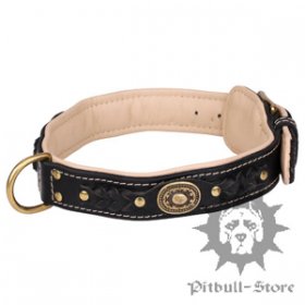 Rich Padded Dog Collar with Braids and Brass Adornments