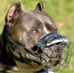 Basket Dog Muzzle, Perfect for Pitbull, Rustproof Wire, Best!