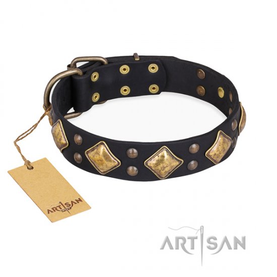 "Fancy-Schmancy" FDT Artisan Studded Dog Collar in Black