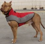 Warm Dog Coat of Nylon for Pitbull Warming, Reflective Straps