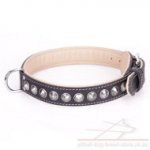 Staffy Studded Dog Collar "Cone" of Nappa Padded Black Leather