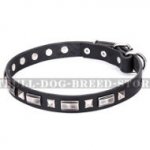 American Staffy Dog Collar "Supreme Elegance" Artisan