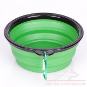 Portable Collapsible Dog Bowl for Food and Water, Small Size