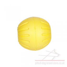 Hard to Break Dog Toy Ball Bite Resistant and Lightweight