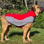 Dog Coat for Cane Corso Comfort in Cold Weather