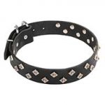 Unforgettable Designer Dog Collar with Diamond-Shaped Studs