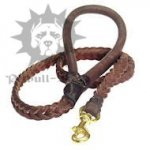Durable and Stylish Braided Dog Lead of Brown Leather