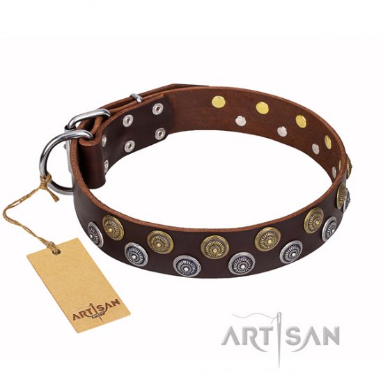 "Strong Shields" FDT Artisan Brown Dog Collar with Conshos