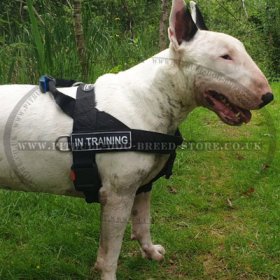 Bestseller! Stop Your Dog Pulling with Nylon Harness