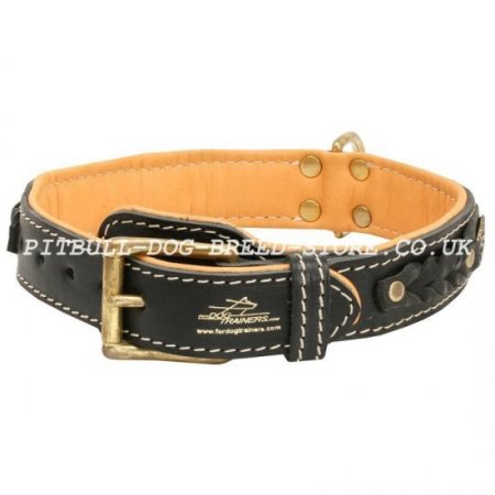 Bestseller! Thick Leather Dog Collar for Pitbull of Royal Design