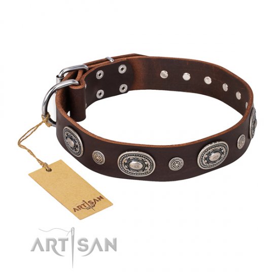 "Extra Pizzazz" FDT Artisan Brown Leather Dog Collar with Studs