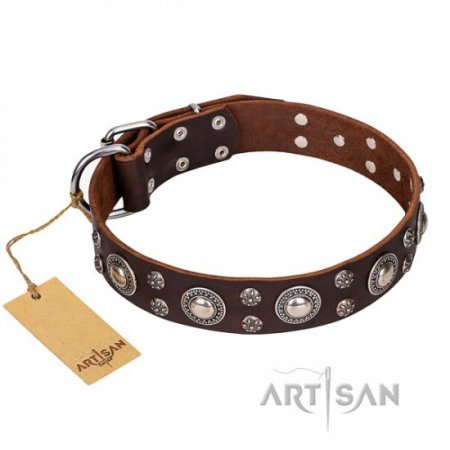 "Age of Beauty" FDT Artisan Brown Leather Dog Collar