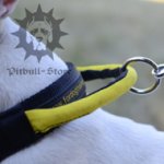 Nylon Dog Collar with Handle for English Bull Terrier