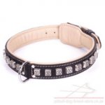 Thick Leather Collar for Pitbull "Cube" Nappa Lined