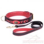 Pitbull Dog Collar and Leash Unique Set "Heavy Fire"