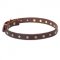 Dog Collar with Stars, Narrow Real Leather Strap, Brass Hardware