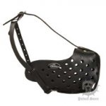 Muzzle for Staffy of Leather Covered Steel Base, Adjustable Size