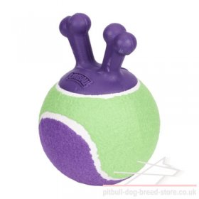 Dog Fetch Ball Thrower "Jumball" for Staffy and Pitbull Puppy
