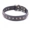 Dog Training Collar with Pyramids for Bull Terrier & Amstaff